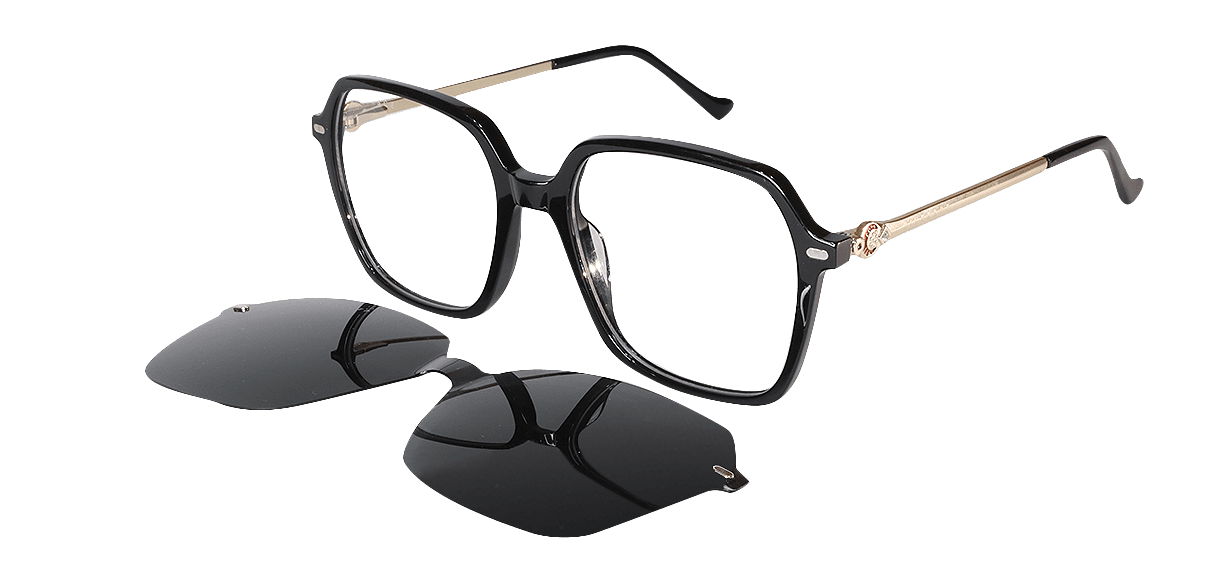 DIVERSCE CLIP ON G5338 C1