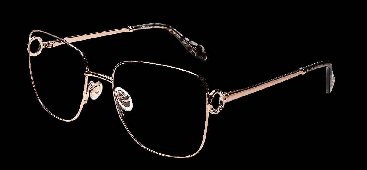 PINEDA COVALIN RX VPV .07006